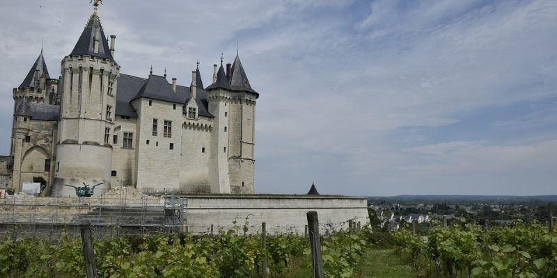 Vignoble de la Loire